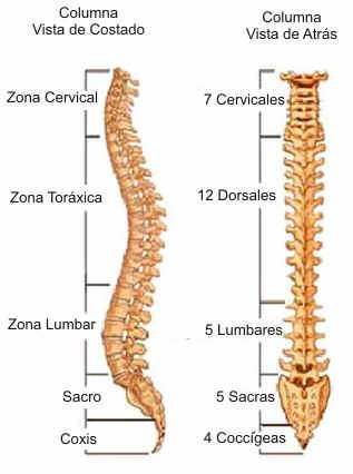 hernia de disco