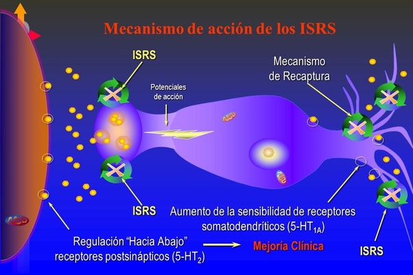 los antidepresivos