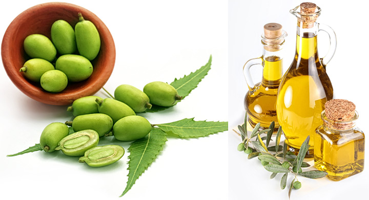 Aceite-de-neem