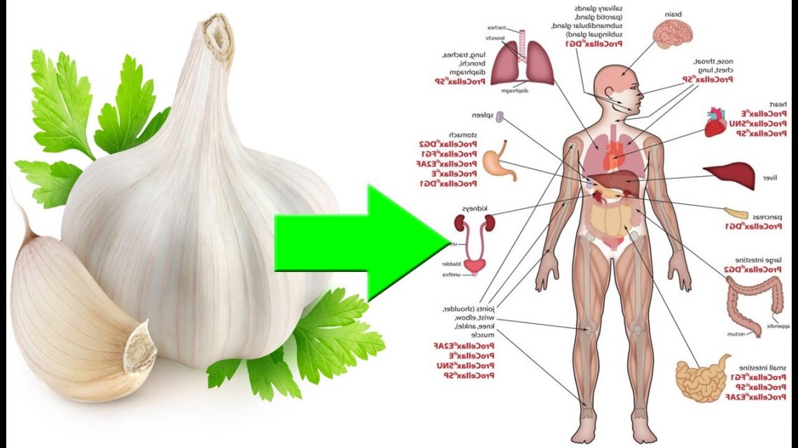 remedios caseros con ajo
