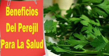 Beneficios del Perejil para la salud