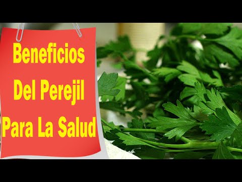 Beneficios del Perejil para la salud
