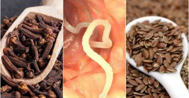 tratar los parasitos