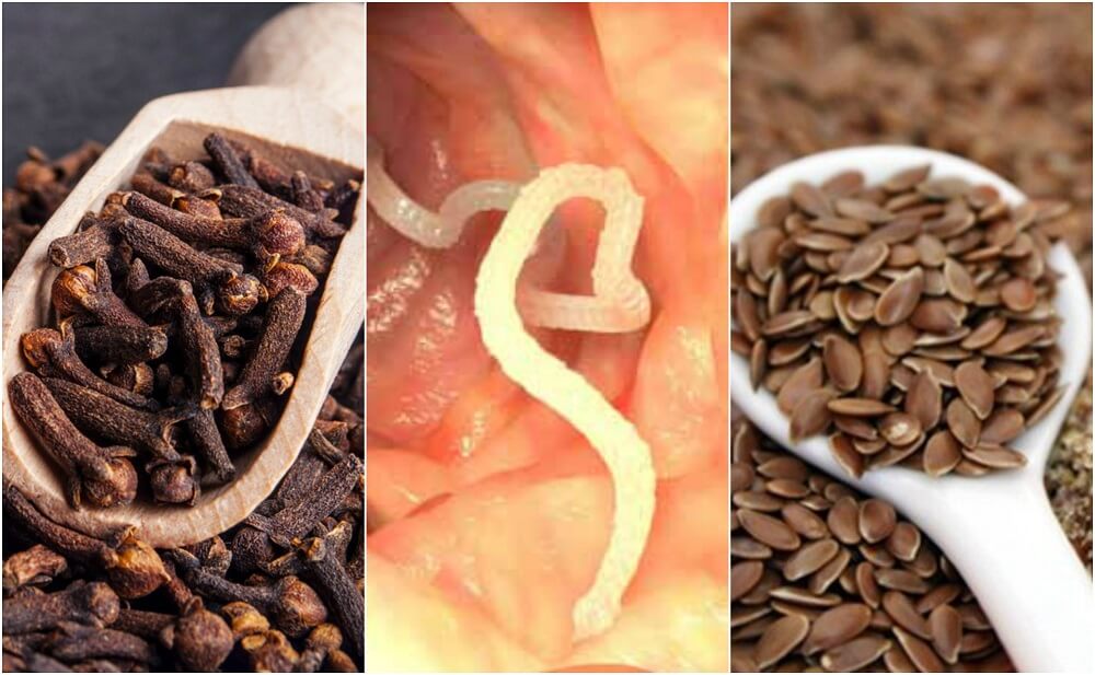 tratar los parasitos