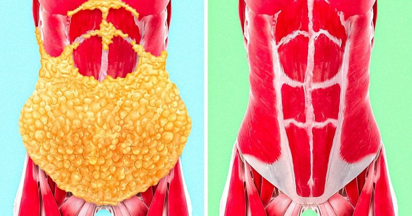 Remedios caseros para quemar grasa