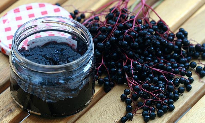 Remedios caseros para la sordera sauco