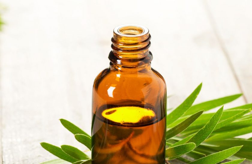 aceite esencial de árbol de té