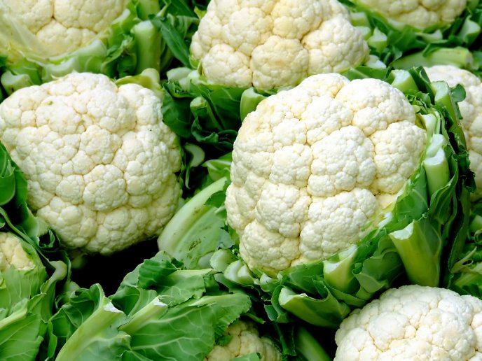 coliflor1