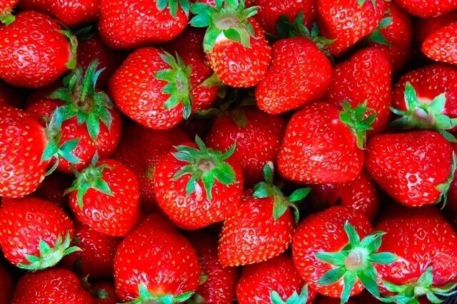 fresas