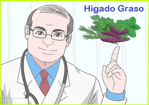 remedios-caseros-para-el-higado-graso2
