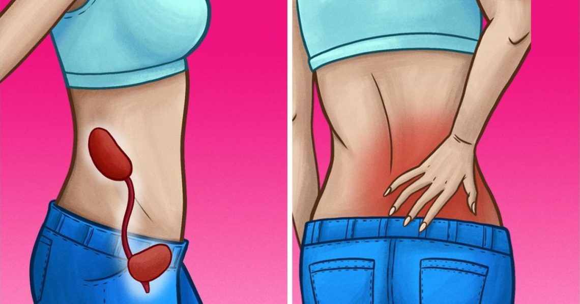 10 señales para saber si tus riñones funcionan bien o no